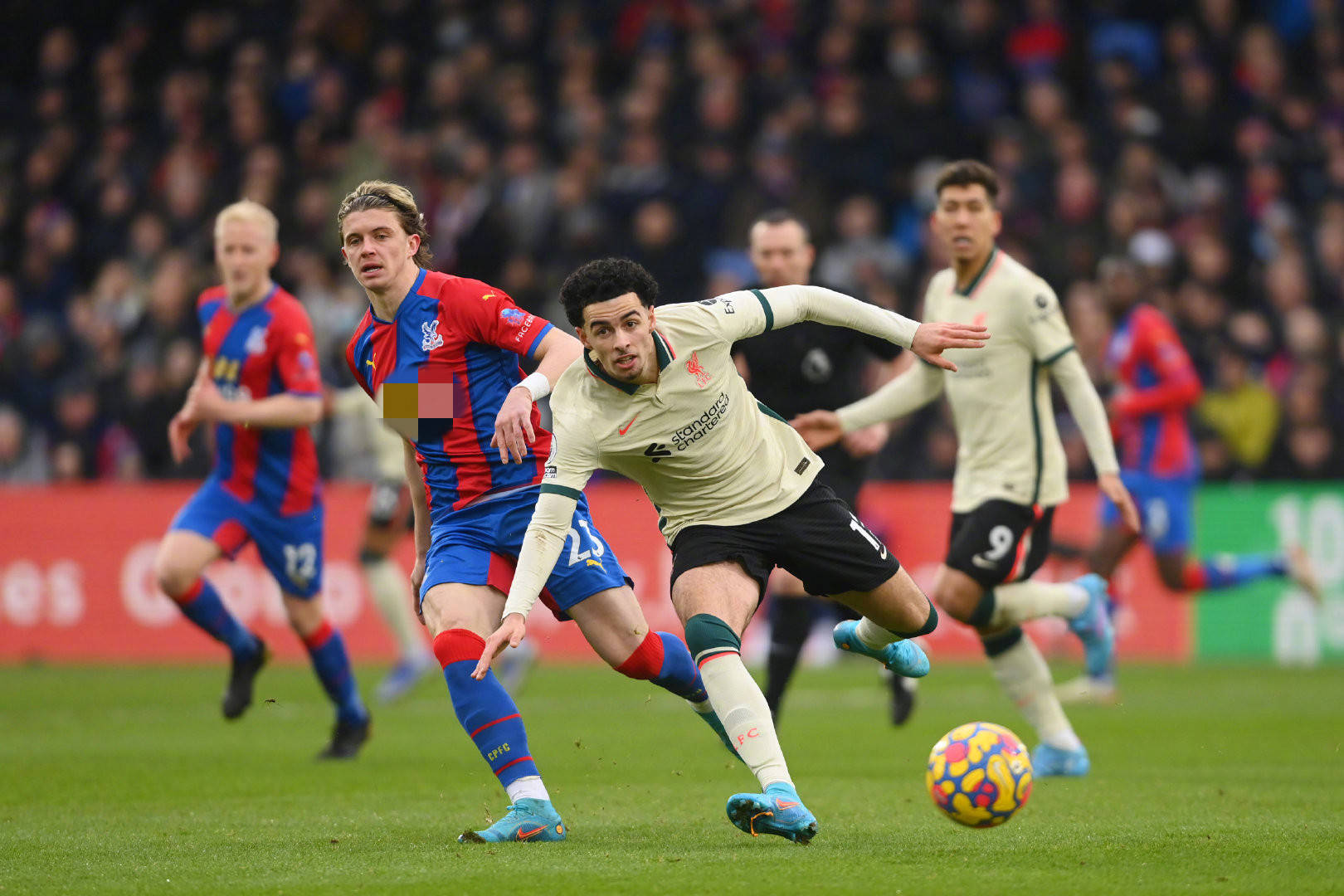 坛的地位 坛的地位