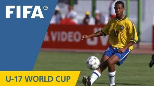 南安普顿目 南安普顿目