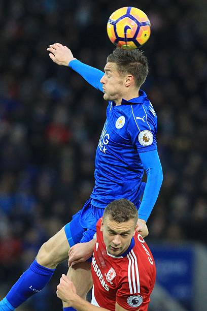 而备受赞誉 而备受赞誉