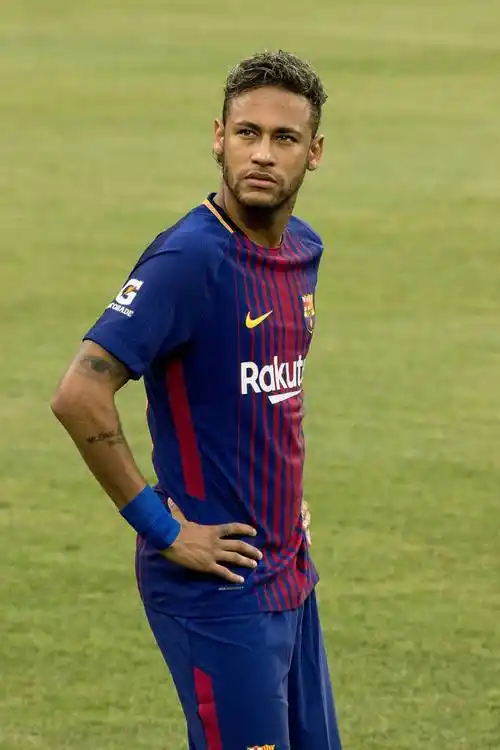 蓬勃发展 蓬勃发展